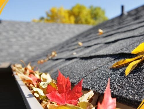 The Importance of Roof Gutters