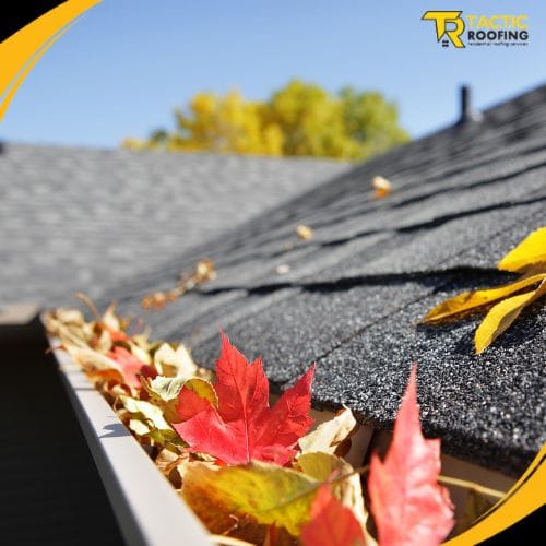 The Importance of Roof Gutters